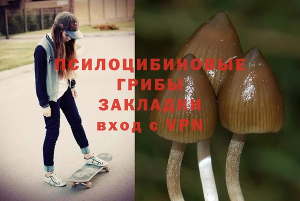 скорость mdpv Бородино