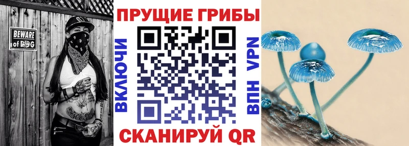 Галлюциногенные грибы Magic Shrooms  даркнет сайт  Севастополь 